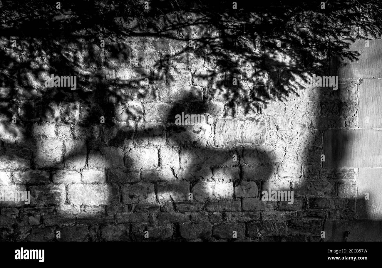 Ornamentadas sombras de trabajo de piedra en una pared de piedra. Foto de stock