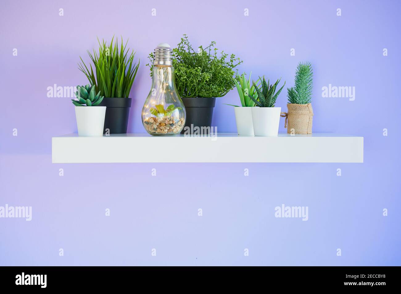 estante de libros blanco con macetas de plantas delante de un pared violeta con espacio para copias Foto de stock