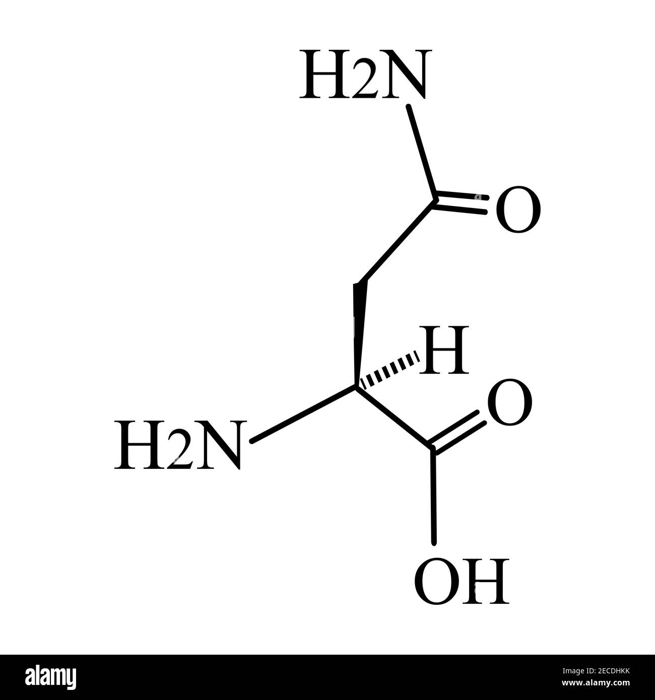 La asparagina es un aminoácido. Fórmula molecular química la asparagina es aminoácido La asparagina es un aminoácido. Fórmula molecular química la asparagina es aminoácido