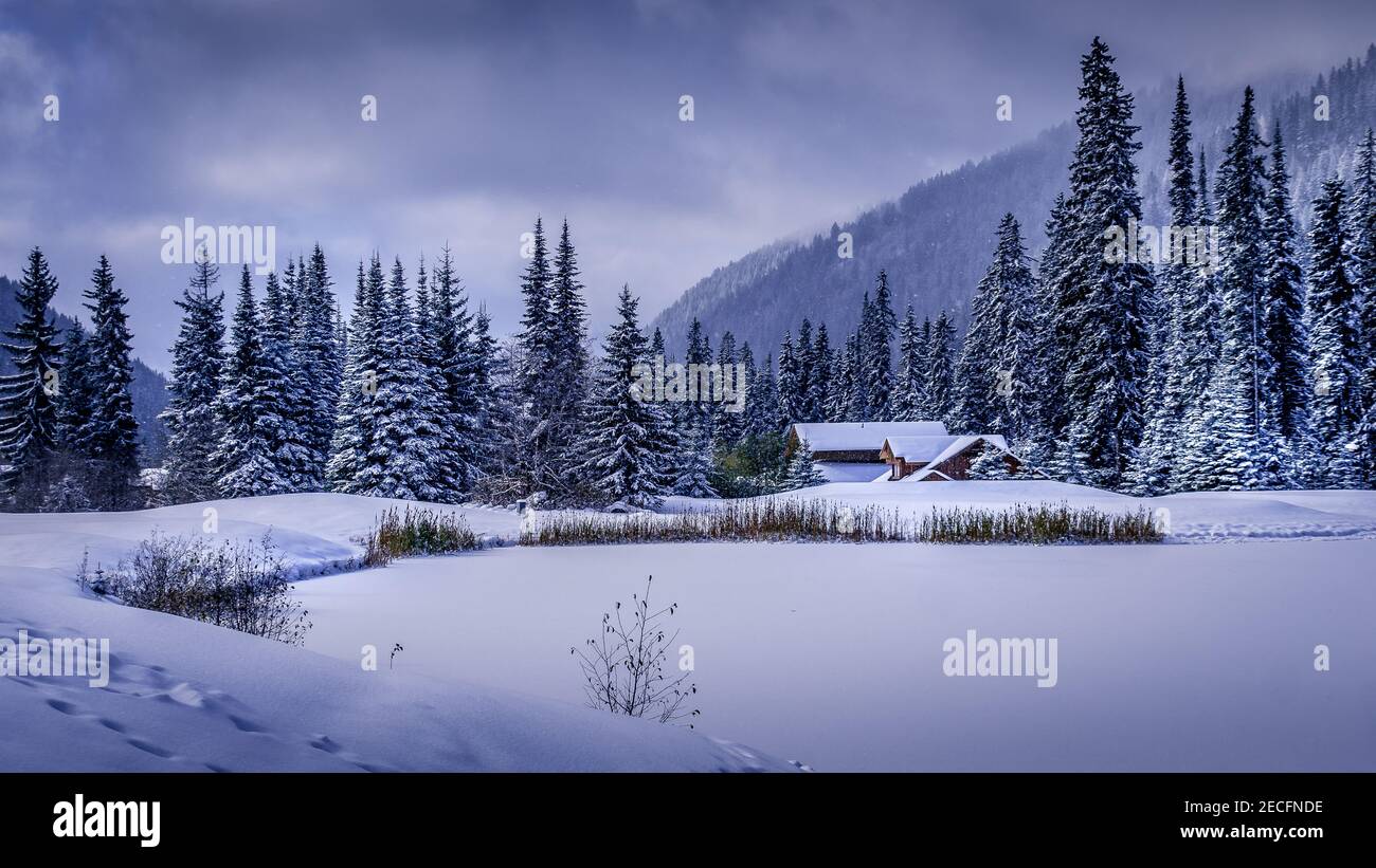 Christmas Card escena del paisaje de nieve en la estación de esquí de Sun Peaks en las tierras altas de Shuswap de British Columbia, Canadá Foto de stock