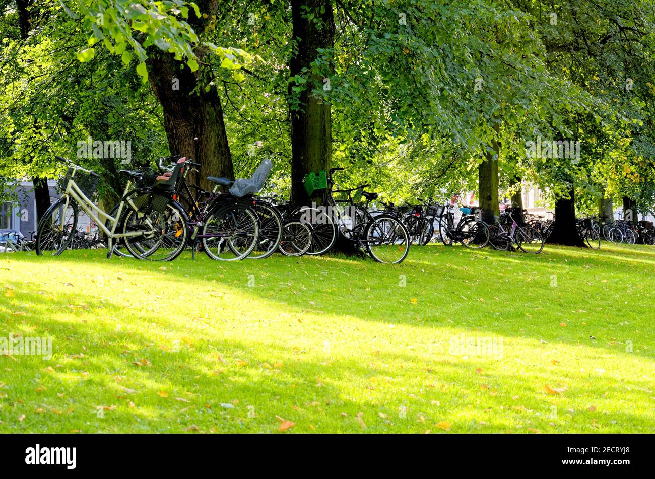 Kastellet Park - Copenhague - Dinamarca. Kastellet, situada en Copenhague, Dinamarca, es una de las fortalezas mejor conservadas del norte de Europa Foto de stock