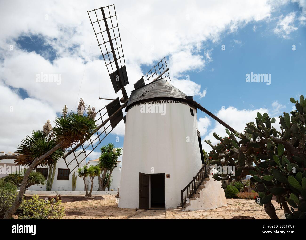 Museo de producción de quesos, Antigua, las Palmas, España. Julio de 2019. Foto de stock