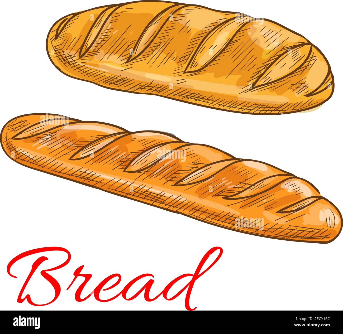 Clases de pan y productos de panadería iconos. Dibujo de lápiz vectorial de  pan de trigo y baguette Imagen Vector de stock - Alamy