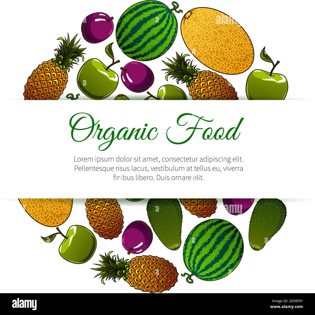 Banner de frutas de alimentos orgánicos. Diseño vectorial para tienda de  comestibles, mercado de alimentos, portada de libro de revistas. Iconos de  la sandía de fruta fresca y jugosa, melón, manzana Imagen