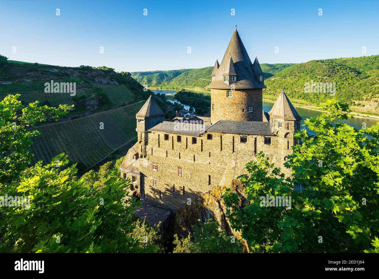 Stahleck Castillo en el Rin, Alto Valle del Rin Medio Patrimonio de la Humanidad, Bacharach, Renania-Palatinado, Alemania Foto de stock