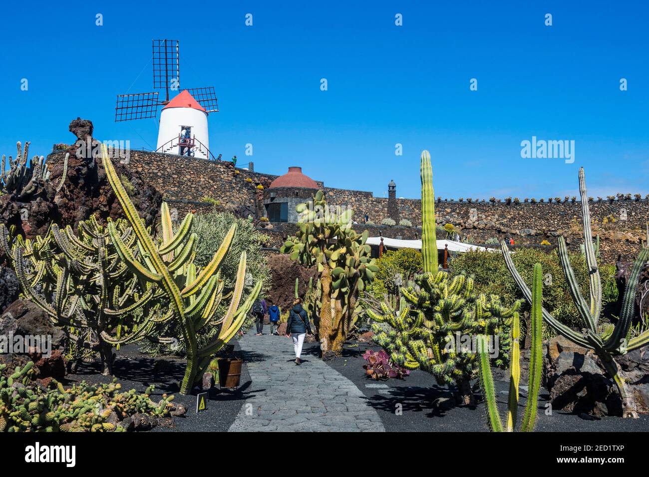 Jardin de Cactus, jardín de cactus Cesar Manrique, Lanzarote, Islas Canarias Foto de stock