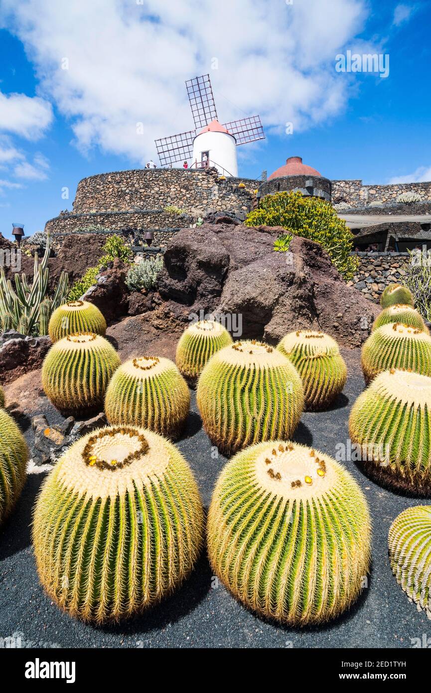 Jardin de Cactus, jardín de cactus Cesar Manrique, Lanzarote, Islas Canarias Foto de stock