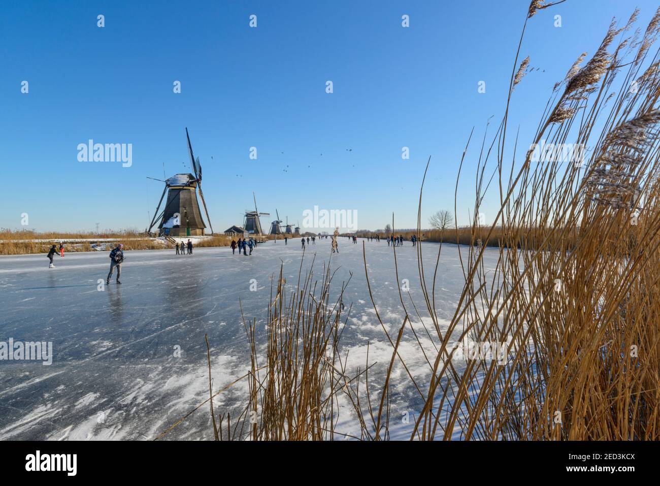 Patinaje sobre hielo entre los molinos de viento de Kinderdijk en el invierno de 2021. Países Bajos Foto de stock