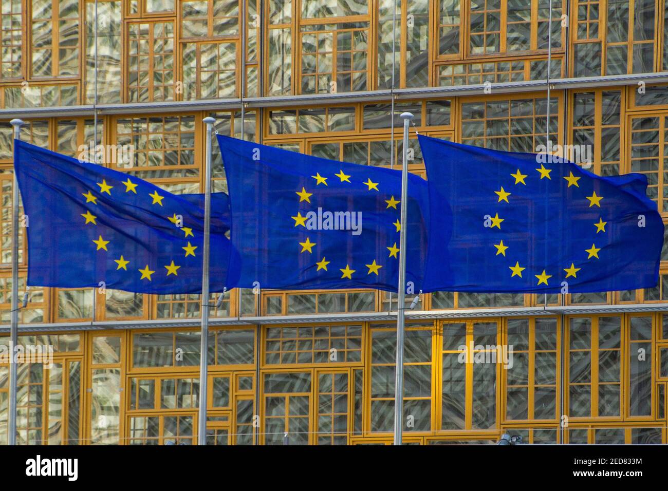 Bélgica, Bruselas, banderas europeas i la bandera europea es una bandera decorada con doce estrellas de oro de cinco puntas, una de las ramas apuntando hacia arriba, a Foto de stock