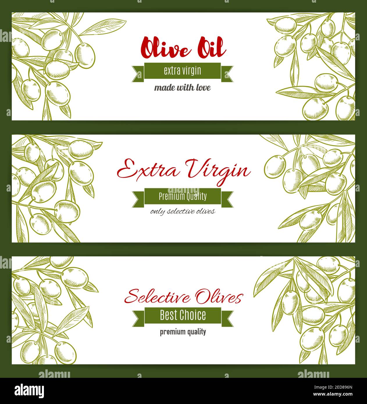 Rama de olivo con boceto de hojas y bayas. Los árboles antiguos griegos