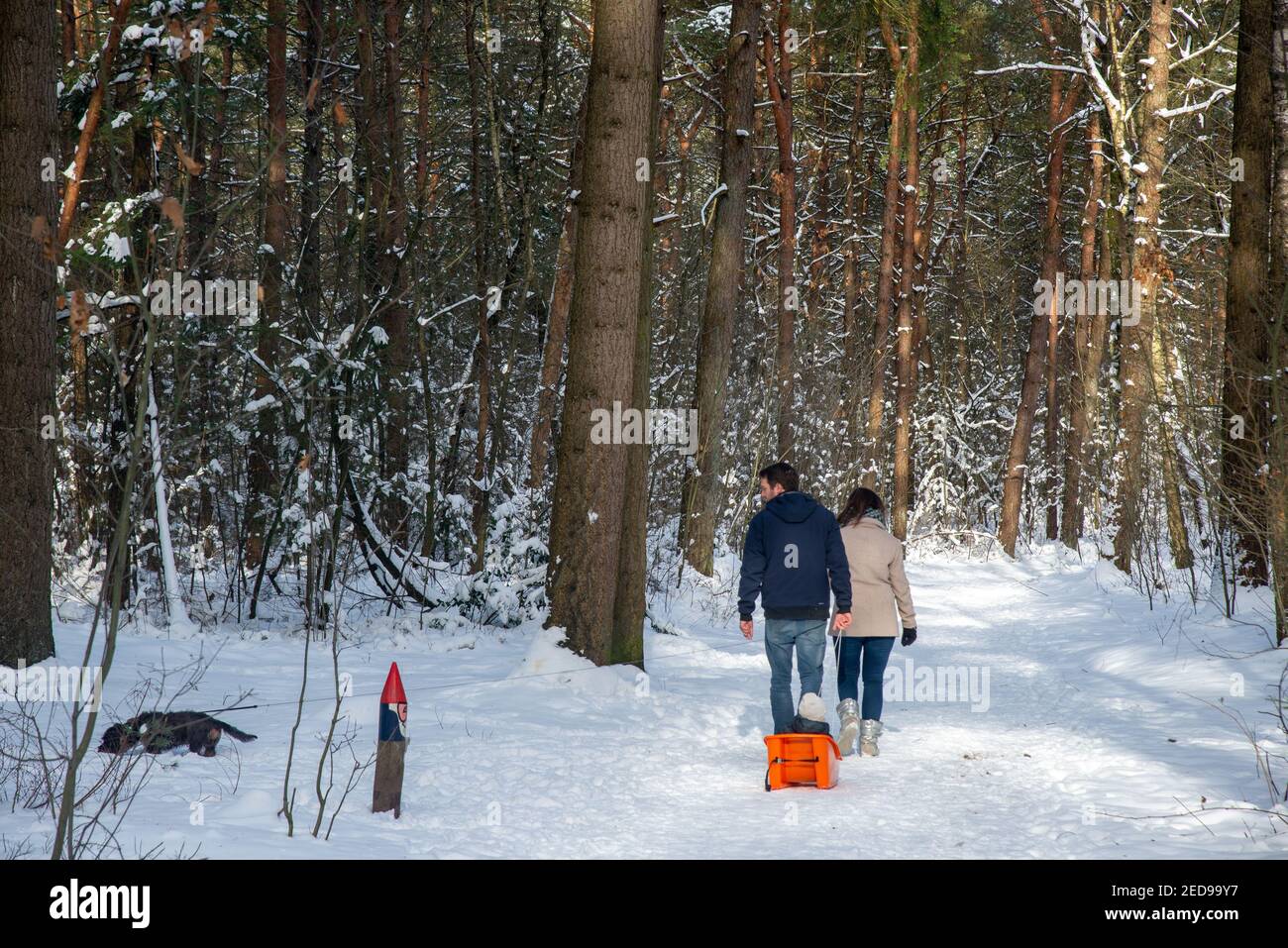 Familia caminando en paisaje cubierto de nieve con bosque en Achterhoek, Holanda Foto de stock
