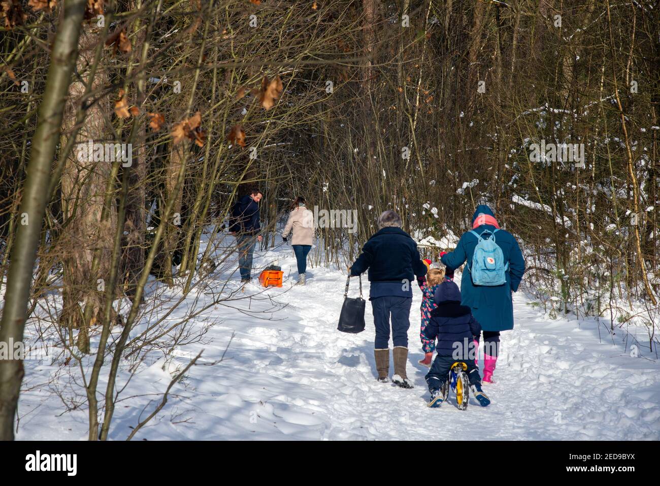 Familia caminando en paisaje cubierto de nieve con bosque en Achterhoek, Holanda Foto de stock