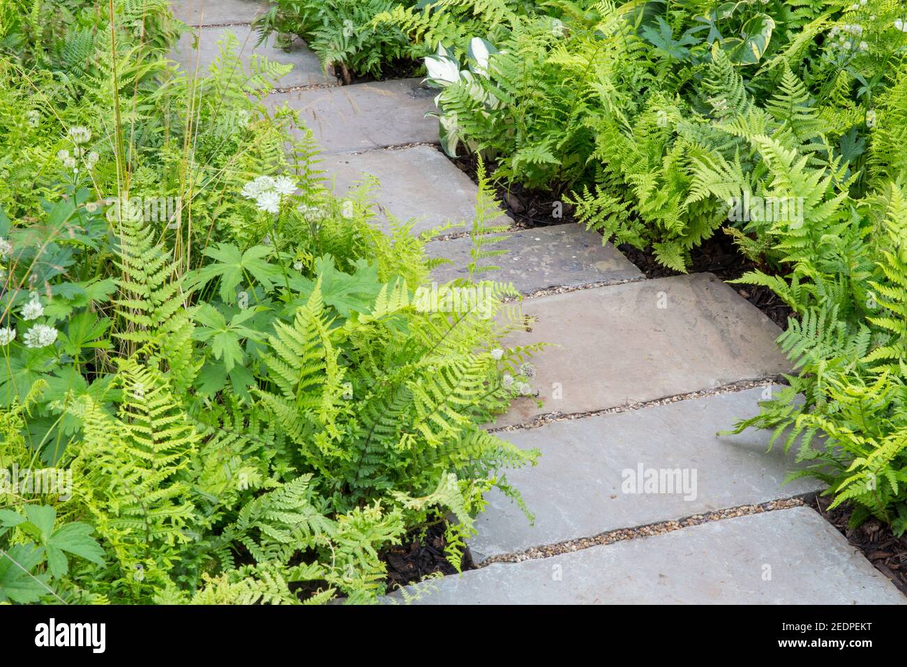 Un bosque Inglés sombra frente jardín losas camino con plantación de