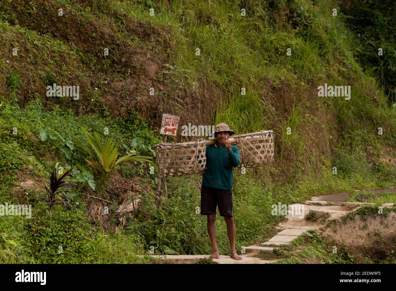 Agricultor local que lleva una cesta de cultivos de arroz cosechados y. Posando para la cámara con el pulgar hacia arriba en Tegallalang Terraza de arroz Foto de stock
