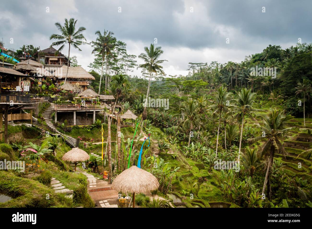 Tegallalang Rice Terrace paisaje y los restaurantes junto al arroz caddies Foto de stock