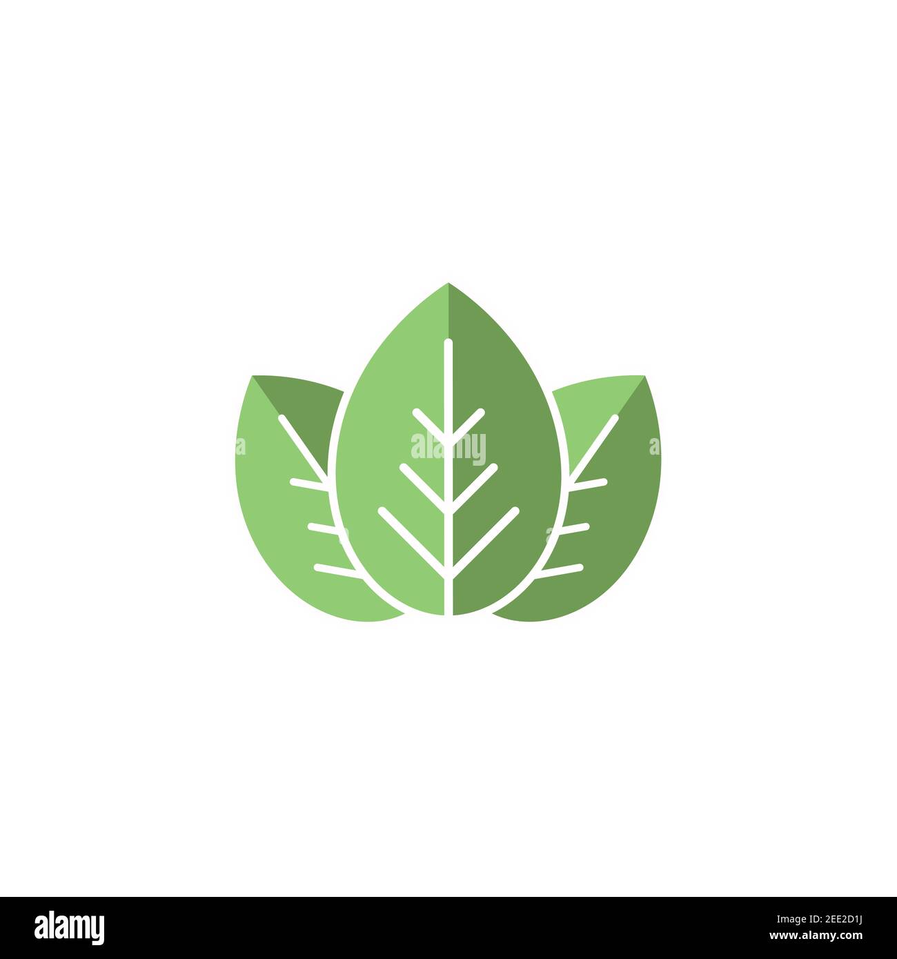 Icono de tres hojas ecológicas. Aislado sobre blanco. Ilustración  vectorial. Hojas verdes planas. Icono de hoja orgánica Imagen Vector de  stock - Alamy