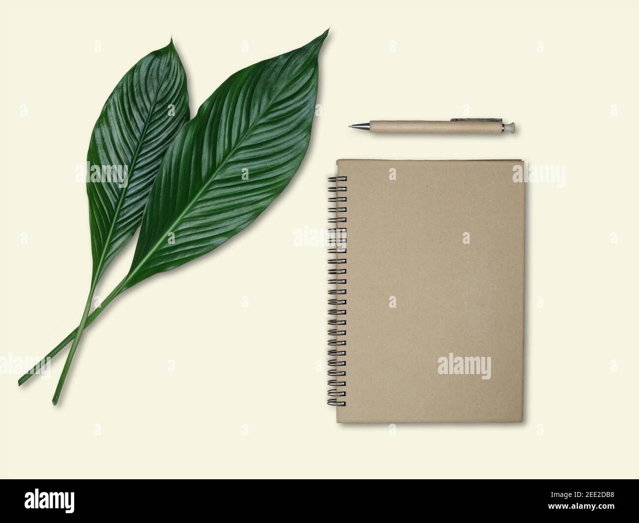 Hojas verdes de lirio de paz - spathiphyllum, cuaderno de papel y pluma de  madera sobre fondo amarillo. Concepto de espacio de trabajo ecológico.  Vista aérea Fotografía de stock - Alamy