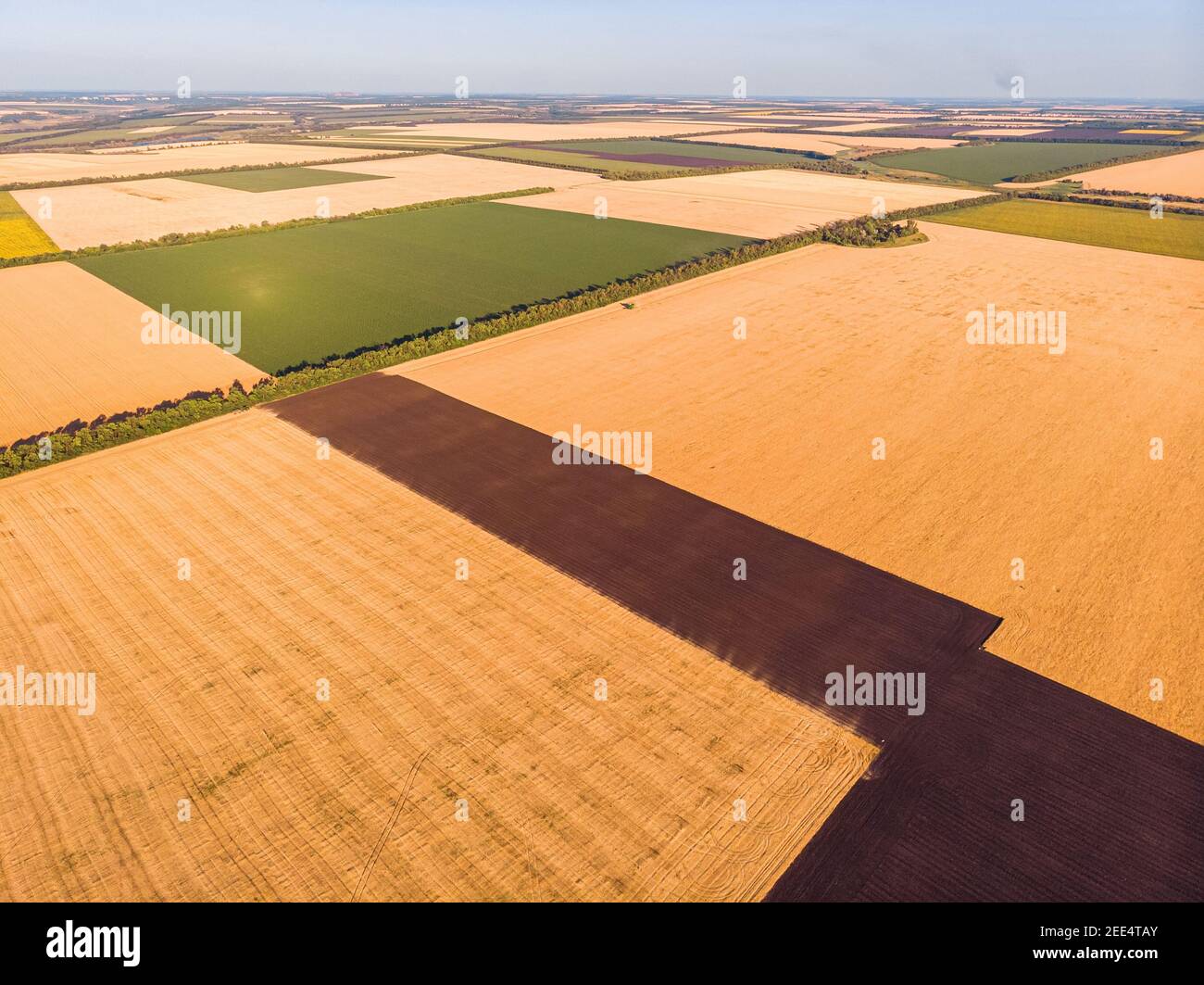 Hermosa campiña patchwork patrones de paisaje cultivado de drone pov, campos de maíz, soya y trigo de alto ángulo de visión Foto de stock