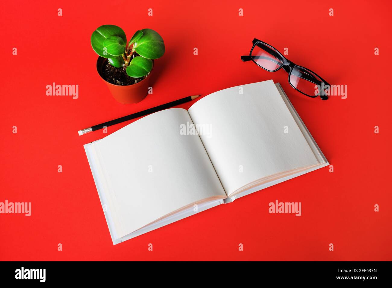 Libro en blanco, vasos, planta y lápiz sobre fondo de papel rojo. Elementos  de papelería. Plantilla para colocar el diseño Fotografía de stock - Alamy