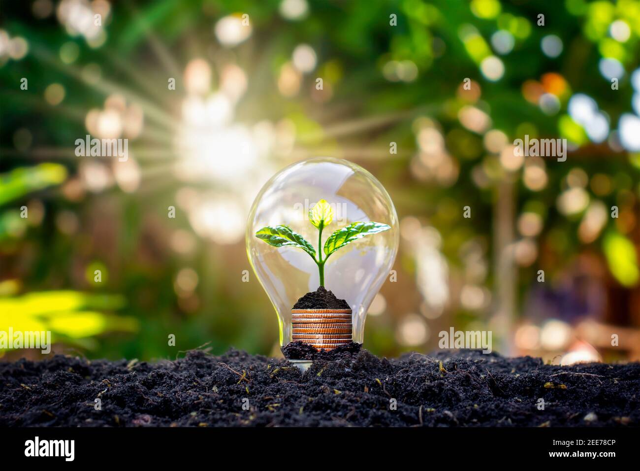 El árbol crece en bulbos de luz, ahorro de energía y conceptos ambientales en el día de la Tierra. Foto de stock