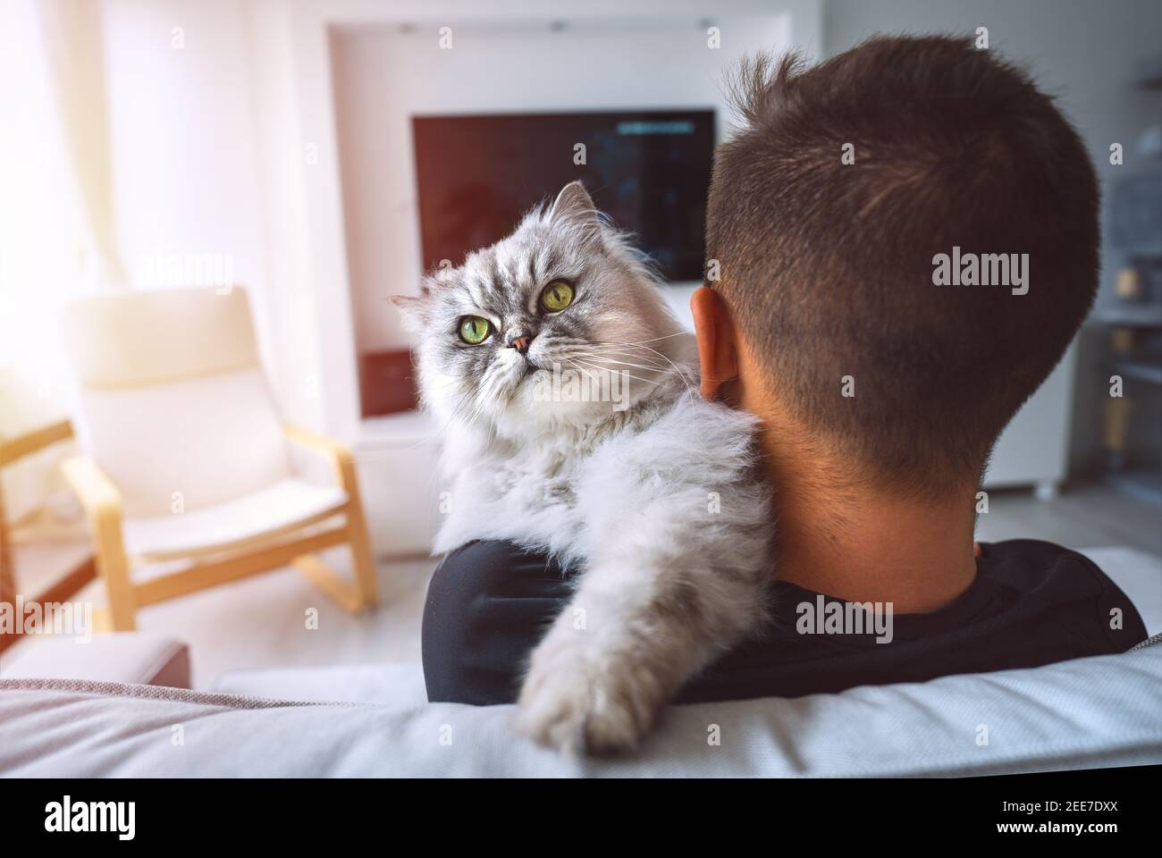 Gato sentado en el hombro de su propietario. Joven descansando con su mascota. Vida doméstica Foto de stock
