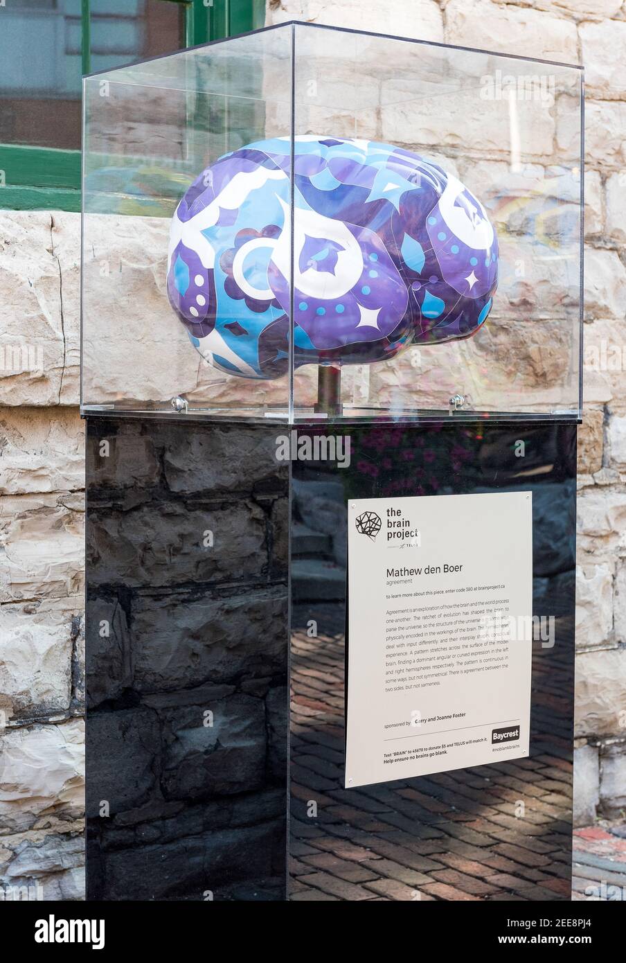 El cerebro del proyecto. El Brain Project es una exposición pública en el centro de Toronto de cerebro esculturas que serán vendidos a organizaciones patrocinadoras o c Foto de stock