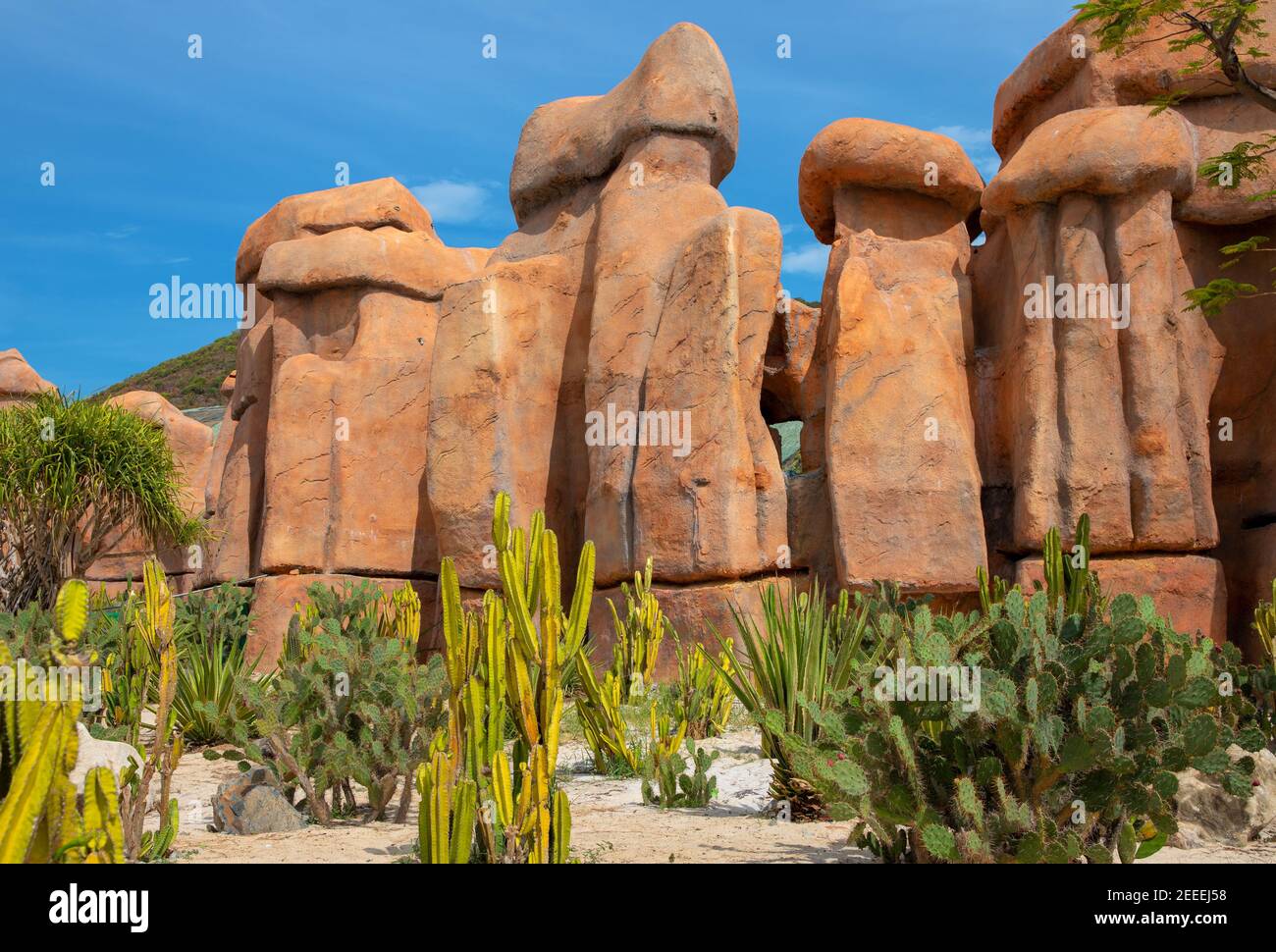 Paisaje desértico con cactus y una enorme roca bajo el cielo azul. Flora climática árida y caliente. Cactus espinoso en el ambiente natural. Cactus en la vanguardia botánica Foto de stock