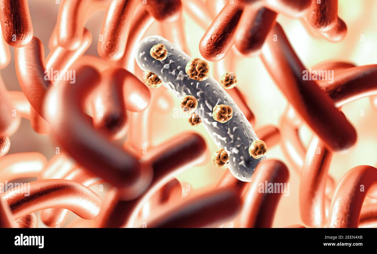 3d ilustración de la imagen microscópica de un virus o infeccioso cell.microbacterias y organismos bacterianos.biología y ciencia antecedentes Foto de stock