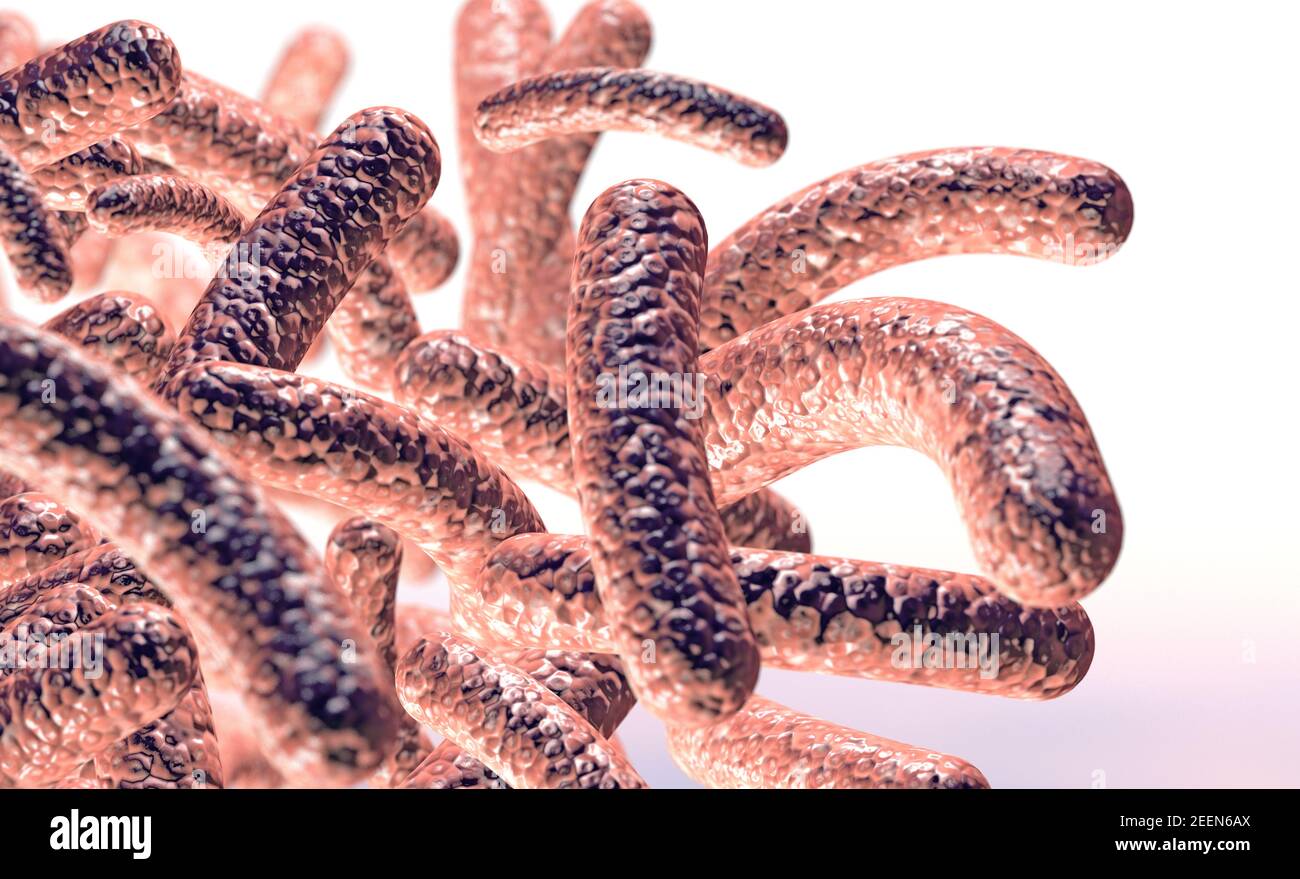 3d ilustración de la imagen microscópica de un virus o infeccioso cell.microbacterias y organismos bacterianos.biología y ciencia antecedentes Foto de stock