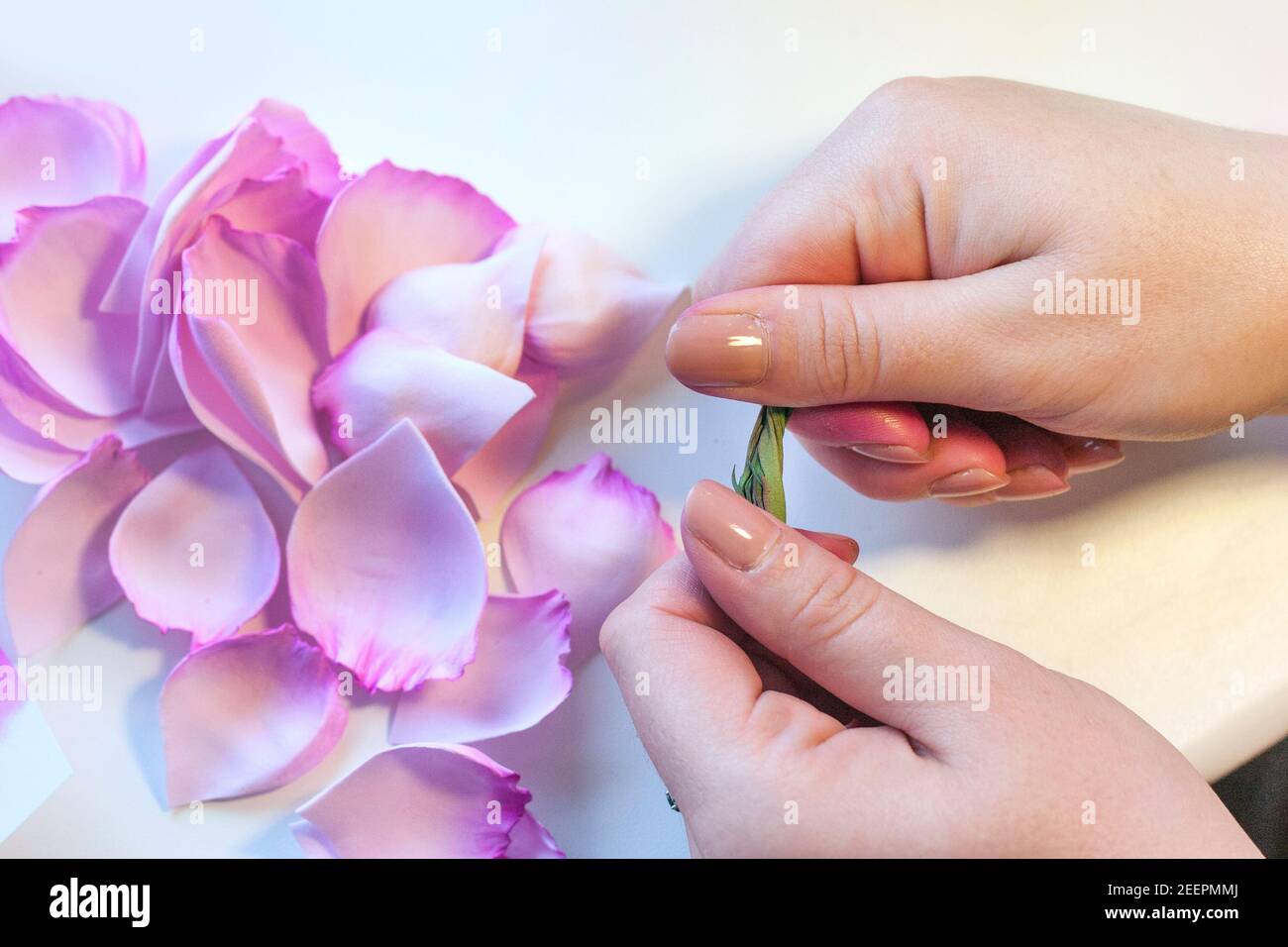 Flores de Rosa artificial de espuma, foamiran taller de masterclass paso a paso, guía de artesanía, Foto de stock