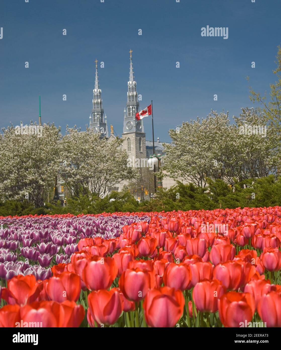 Majors Hill Park Fotos E Imagenes De Stock Alamy Majors Hill Park Fotos E Imagenes De Stock Alamy