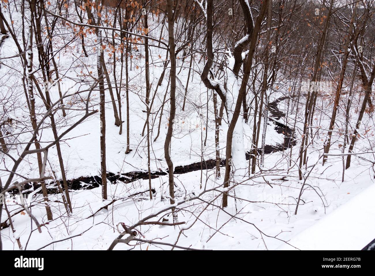 Shadow Falls Creek fluyendo en una ruta curva a través de la nieve hasta el Río Mississippi. St Paul Minnesota MN EE.UU Foto de stock