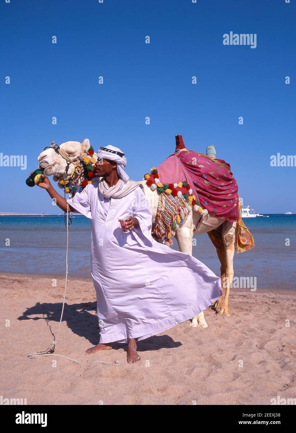 Conductor de camellos con jinetes en la playa, Hurghada, República Árabe de Egipto Foto de stock