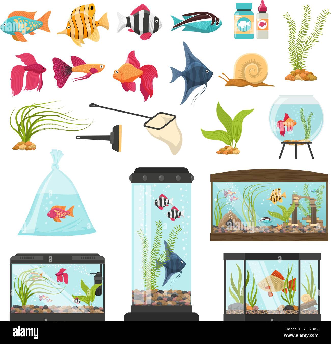 Acuario conjunto de peces aislados cuencos especies de agua plantas acuarios imágenes de vectores de equipamiento tendance y envasado de alimentos para pescado Ilustración del Vector