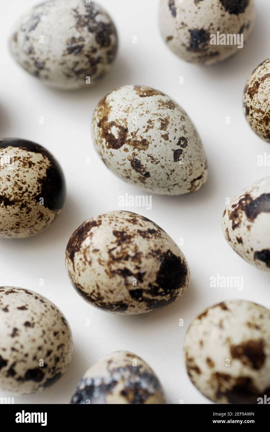 Primer plano de los huevos de quailÅ½s Foto de stock