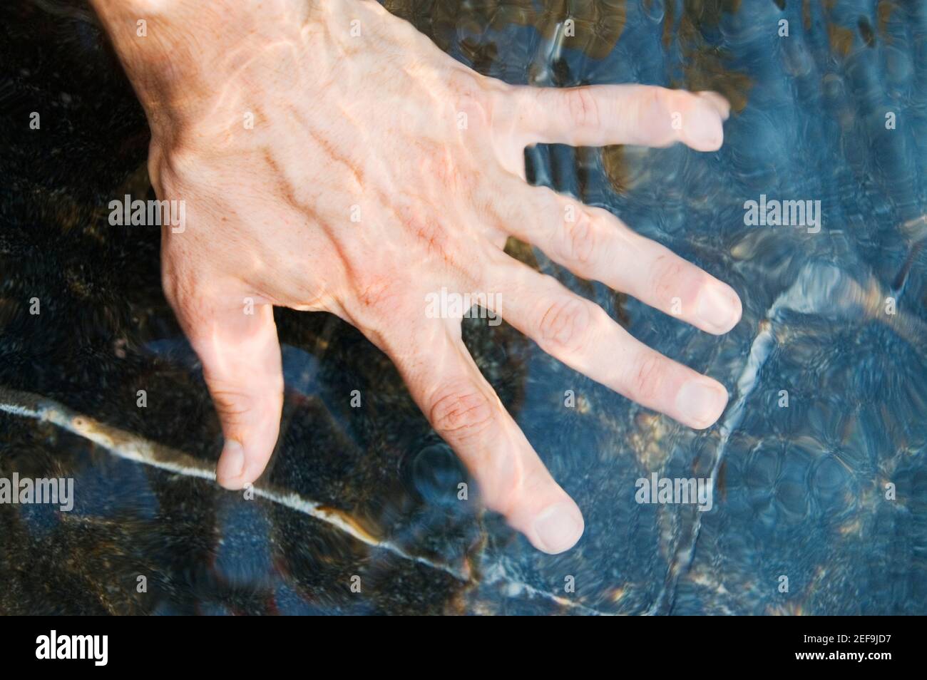 Vista de gran ángulo de una mano humana Foto de stock