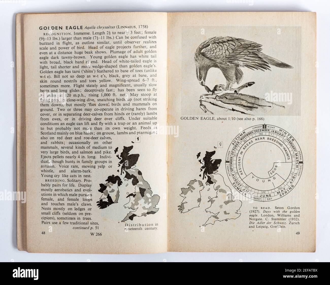 1951 libro de aves vintage de James Fisher en libro de bolsillo llamado reconocimiento de aves 2: Aves de presa y aves acuáticas (Libros Pelican) Foto de stock