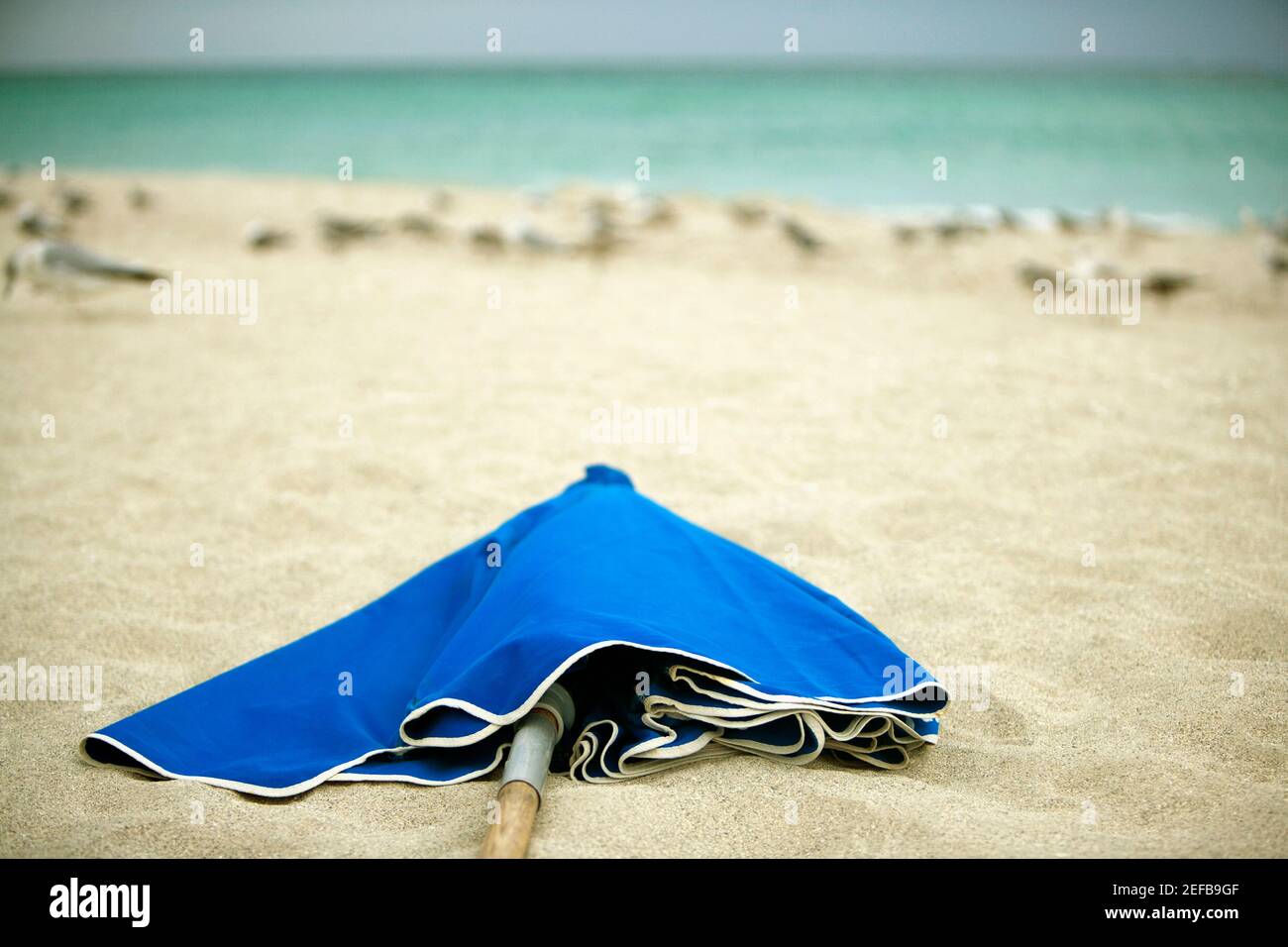 Primer plano de una sombrilla plegada en la playa Fotografía de stock -  Alamy