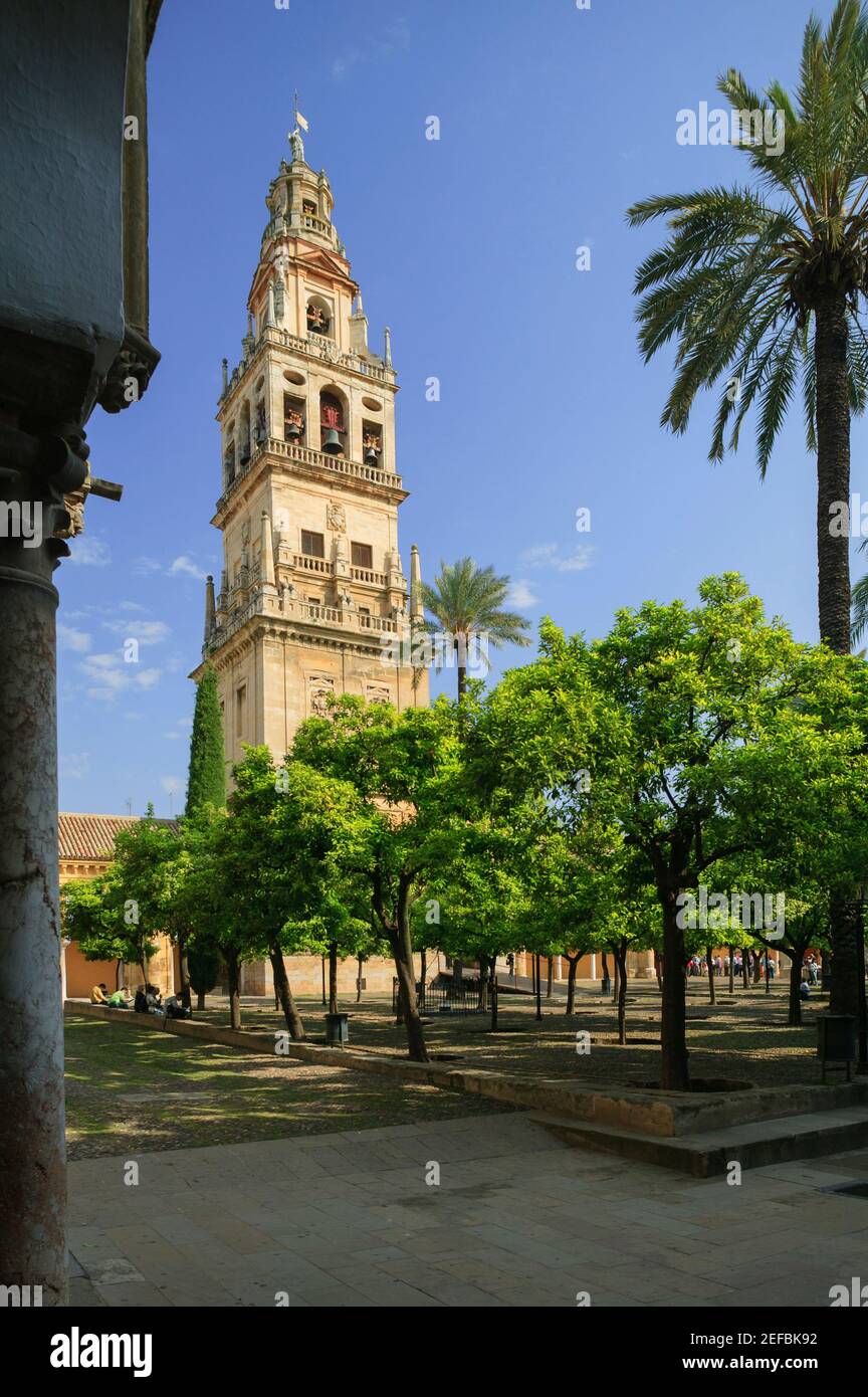 Mezquita y catedral de la Mezquita, Córdoba, Andalucía España Foto de stock