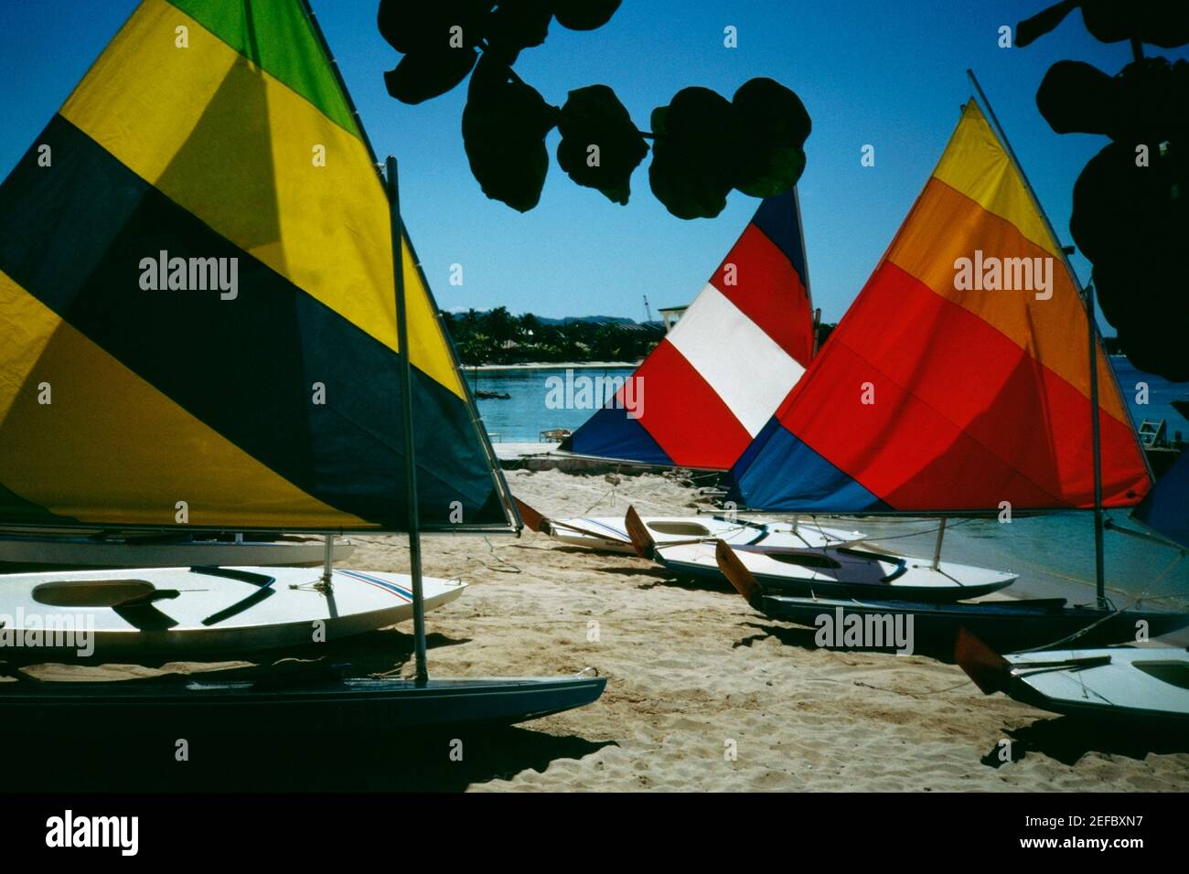 Vista lateral de velas de colores brillantes en tablas de windsurf
