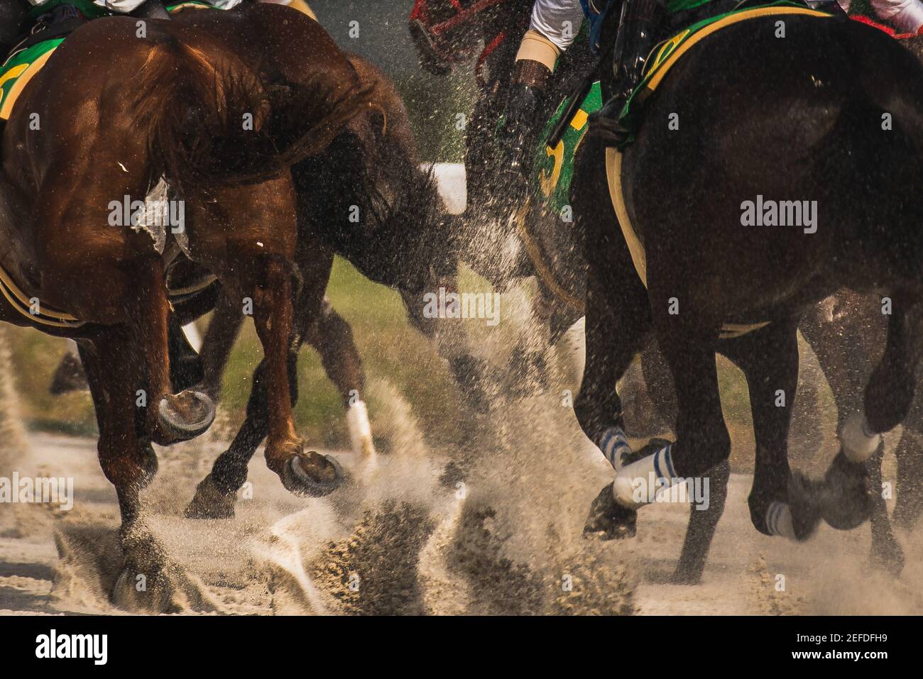carreras de caballos competitivas en una tormenta de arena pesada. Foto de stock