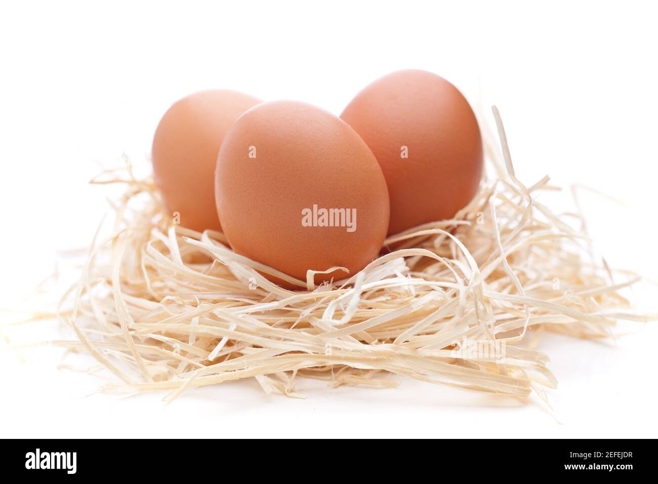 Huevos en un nido aislado sobre fondo blanco Foto de stock