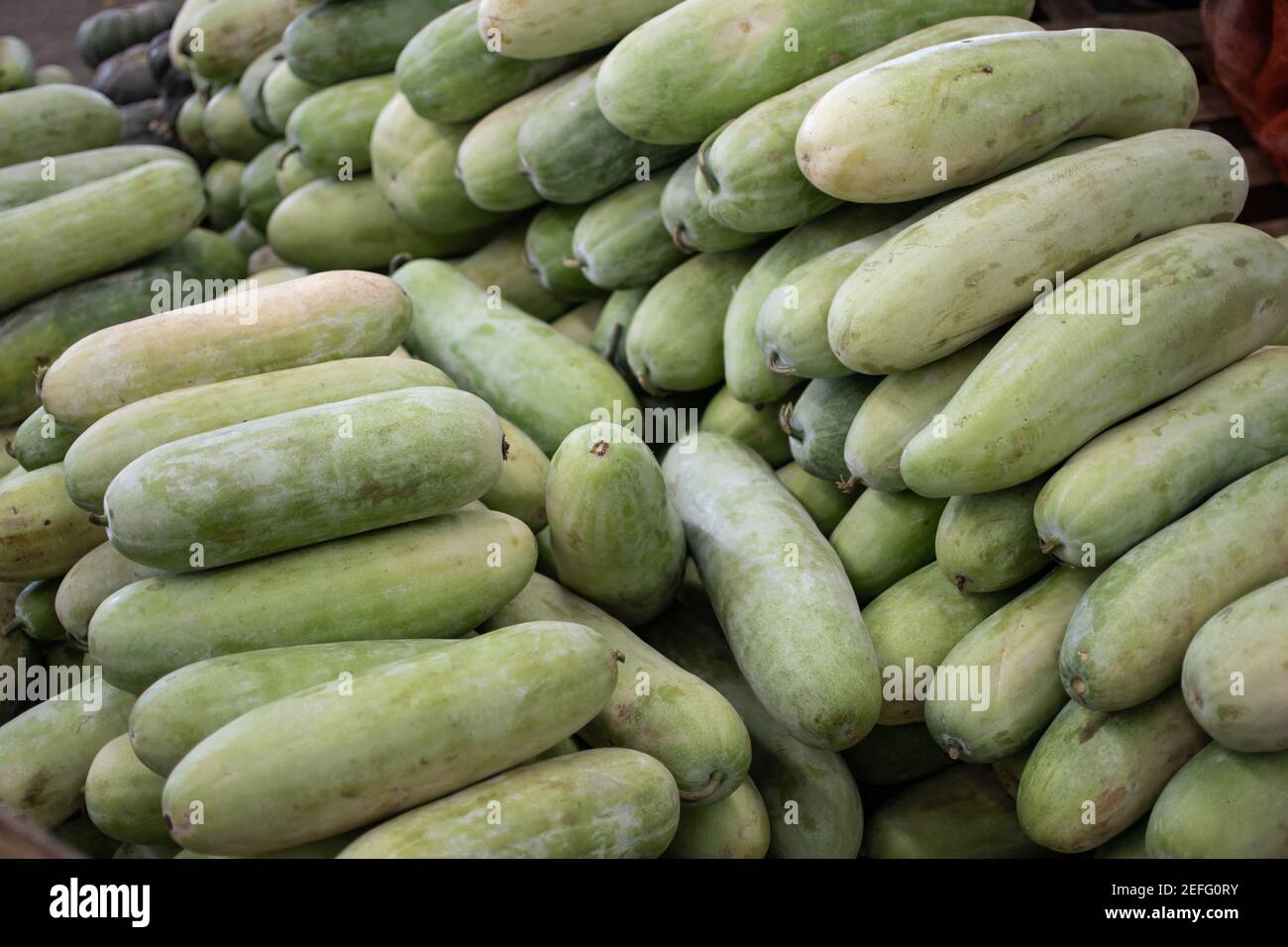 Frutas tropicales verdes frescas, verduras que parecen calabacín y calabaza en un mercado callejero local en Yangon, Myanmar Foto de stock