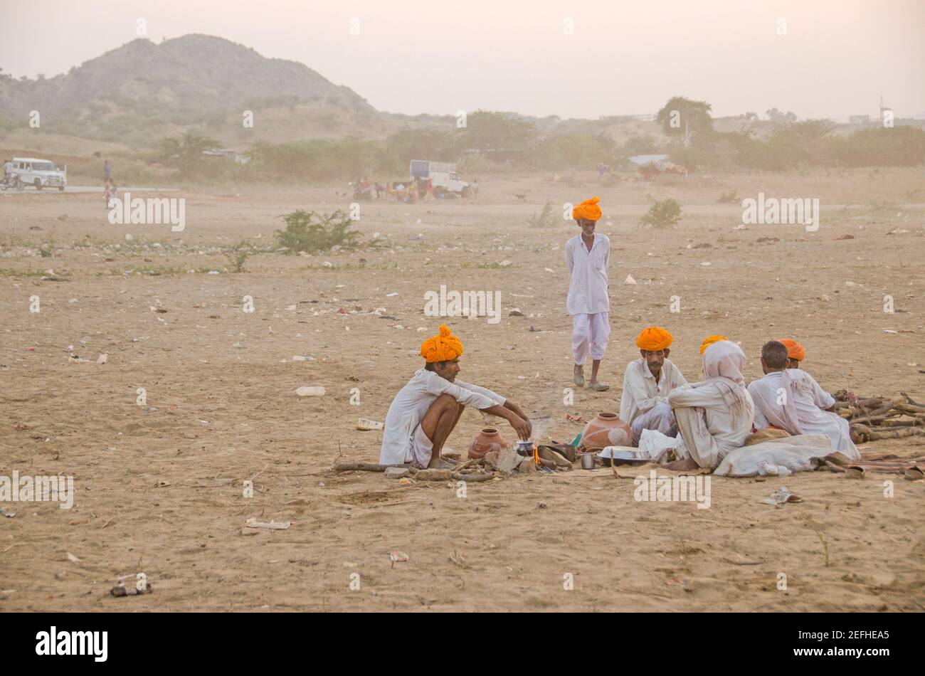 Durante la feria Pushkar, un grupo de camellos están sentados en el recinto ferial bajo el sol de la noche. El turbante naranja en sus cabezas es brillante. Foto de stock