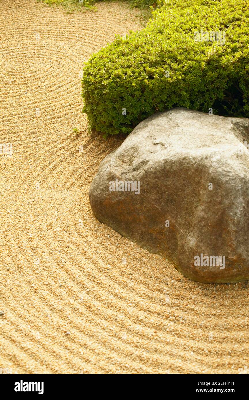 Vista en ángulo alto de las rocas en un campo, Tokio, Japón Foto de stock