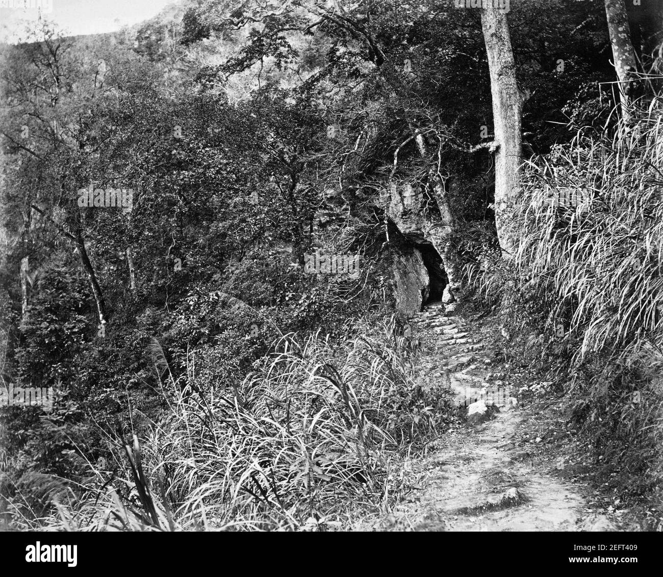 En la carretera que conduce al monasterio de Yuen-foo. Foto de stock