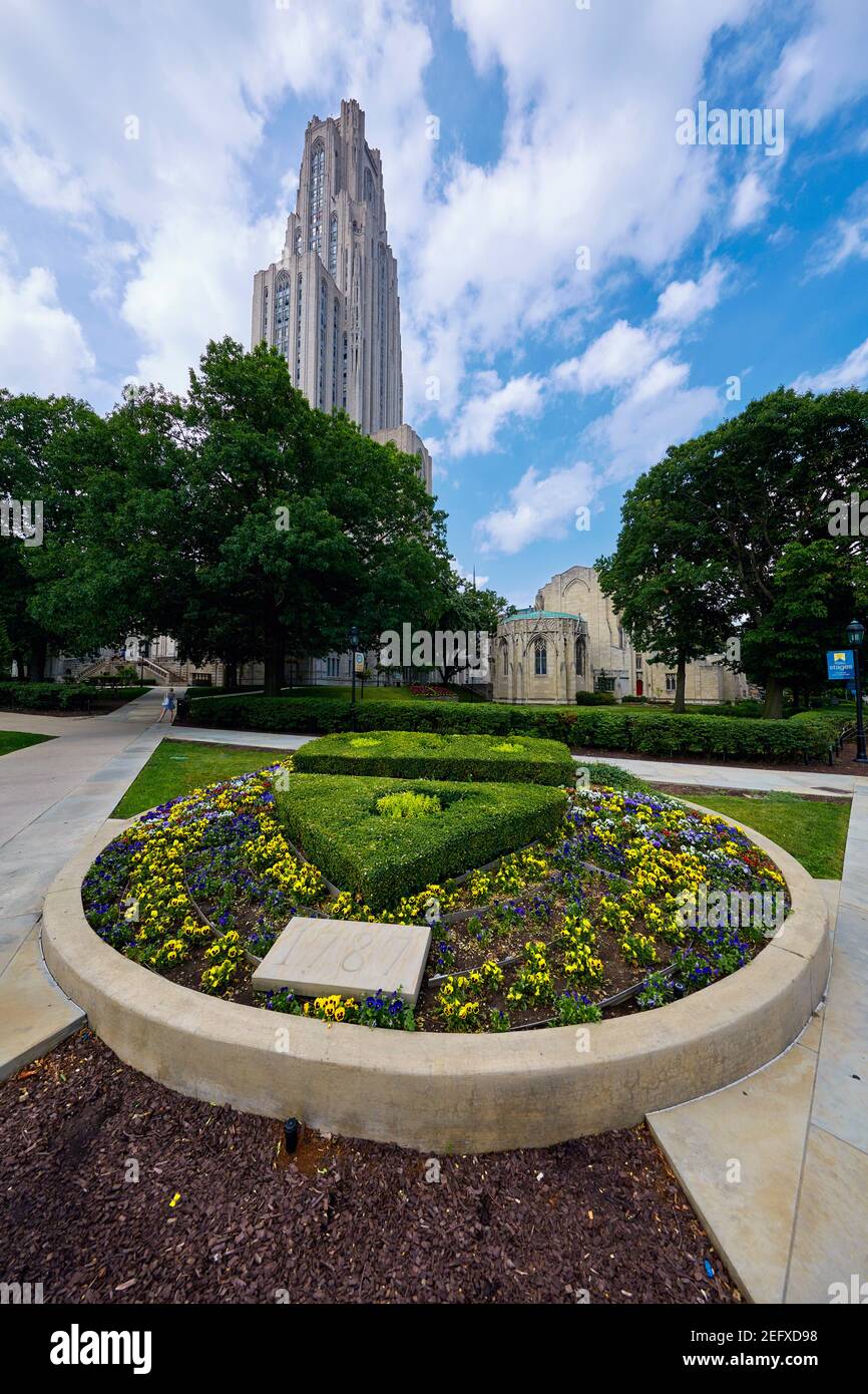 Vista de ángulo bajo de la Catedral o edificio de Aprendizaje, Universidad de Pittsburgh, Pennsylvania Foto de stock