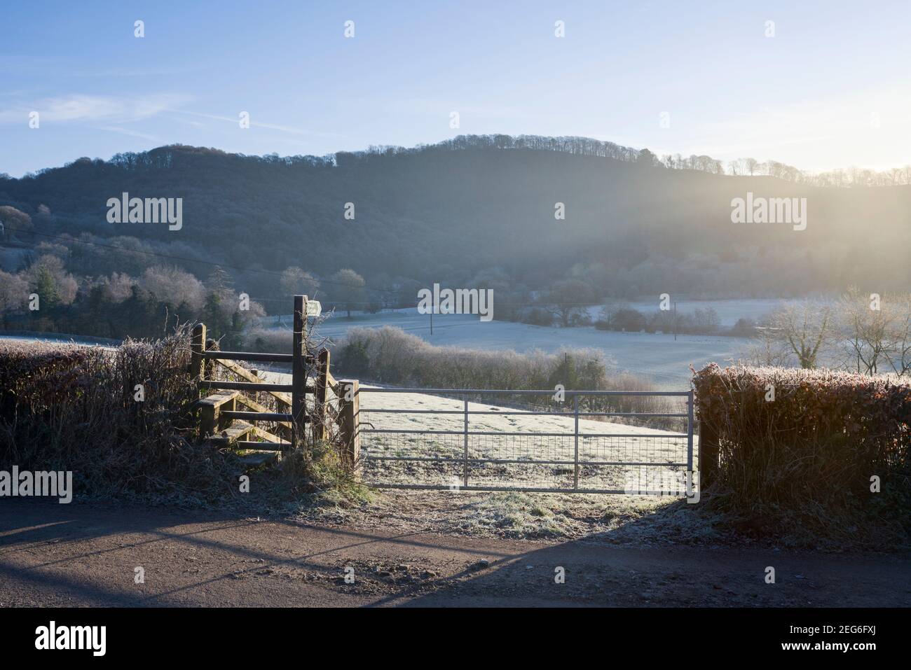 Invierno heladas en el campo cerca de Bampton en el valle exe, Devon, Inglaterra. Foto de stock