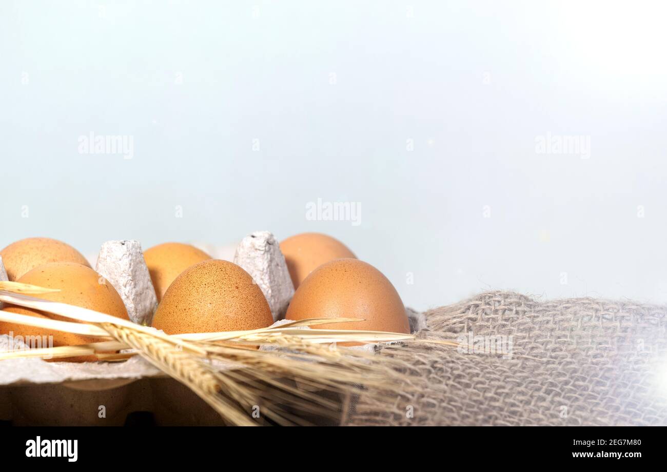 Huevos de Pascua en un paño de saco de entierrar sobre fondo brillante, spikelet de trigo o oído de trigo . La cocina rural o rústica todavía la vida. Copiar espacio, Rústica de Pascua Foto de stock