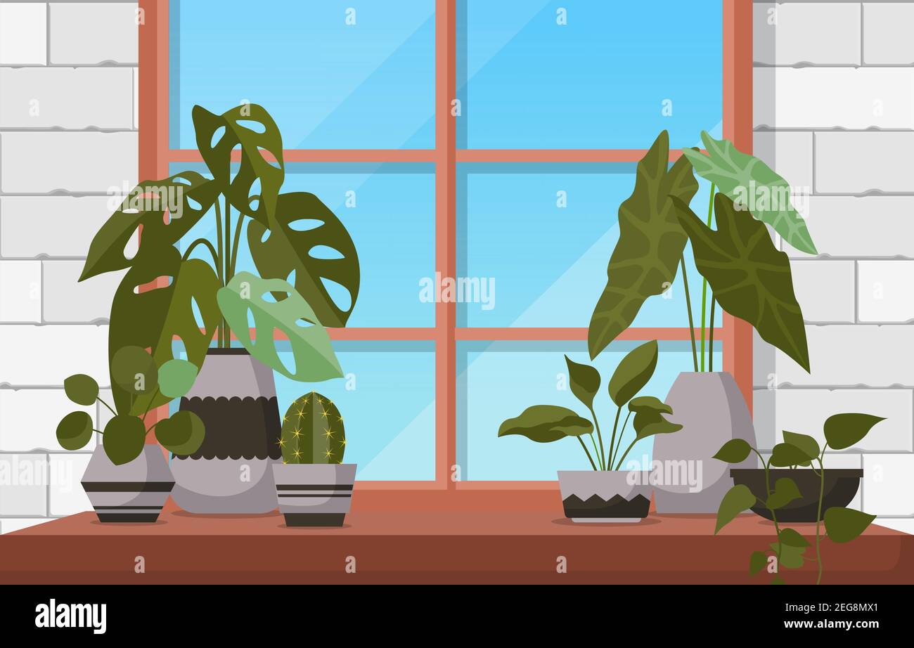 Tropical Houseplant Verde planta decorativa ventana Casa Ilustración Ilustración del Vector